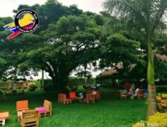 Hotel Campestre el Paraiso  - Finca en Palmira, Valle del Cauca